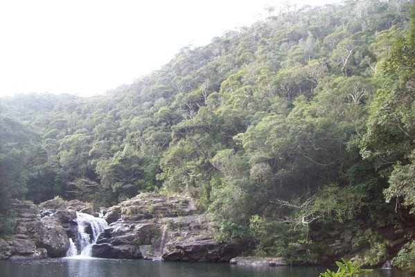 Tanaga-View