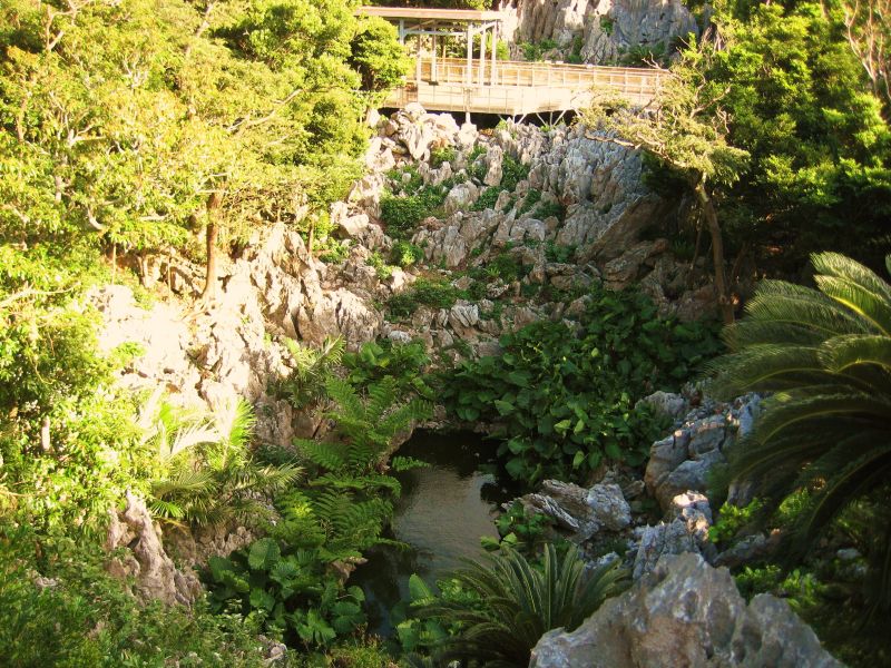 Asumui Amphitheater Pond
