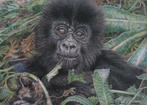 Baby gorilla pastel