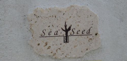 Sea plaque