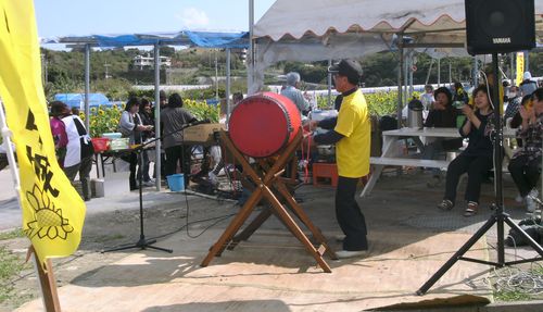 Sunflower drum