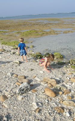 Sea Glass Kids