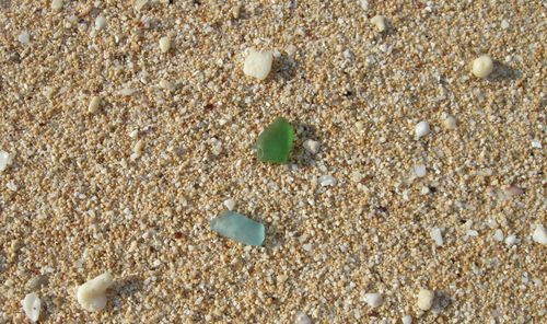 Sea Glass 1