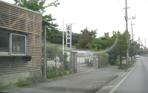 Strawberry Sign