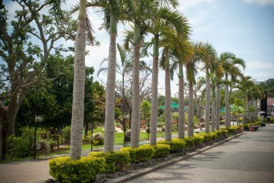 Okinawa Zoo | Okinawa Hai