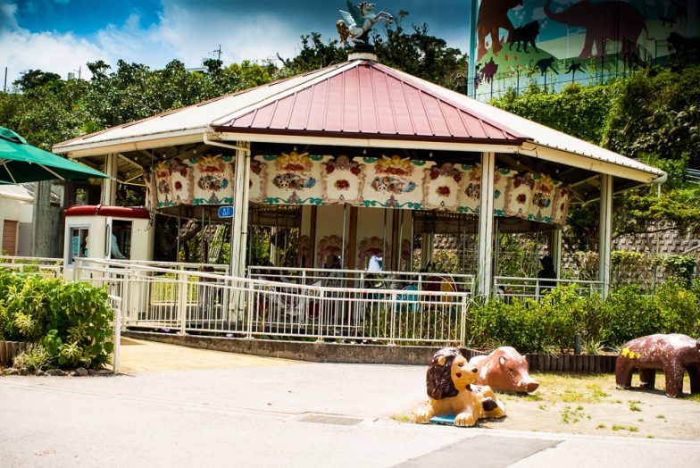 Okinawa Zoo | Okinawa Hai