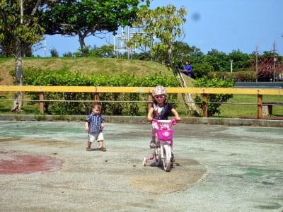 Comprehensive Park bike