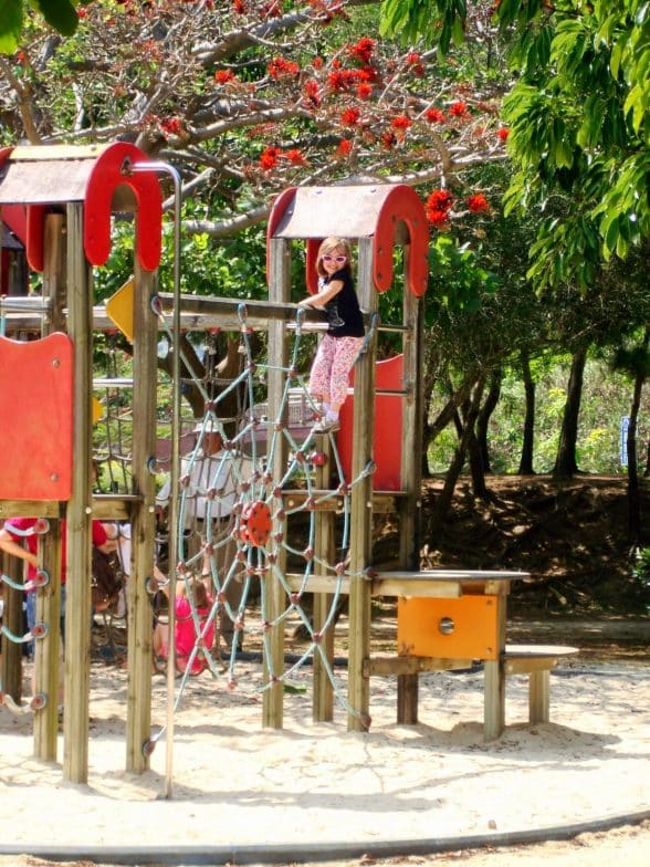 Comprehensive Park playground1