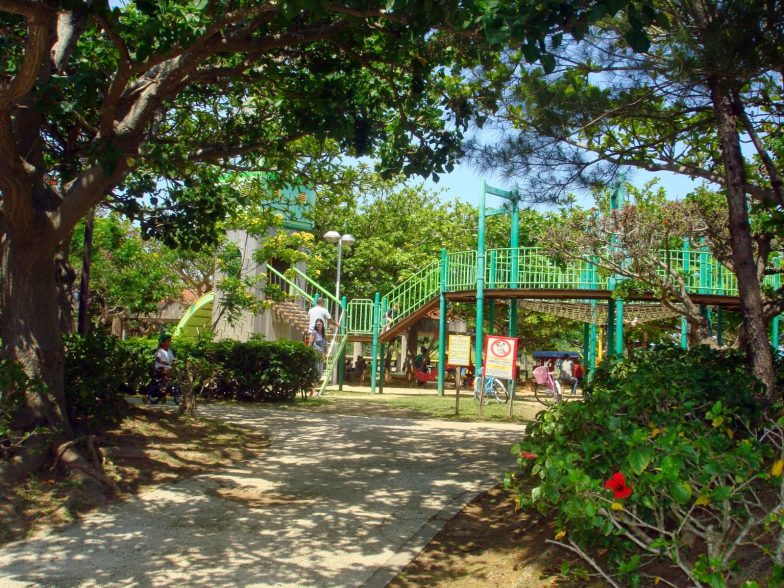 Comprehensive Park playground4