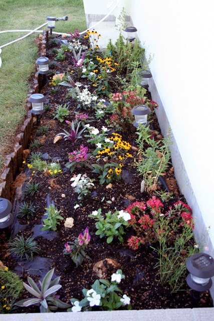 Flowerbed_3