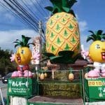Pineapple Park-001