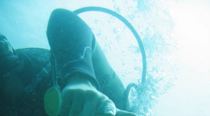 Taking the Plunge – BYOB