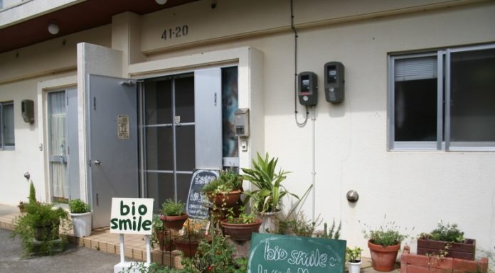 BioSmile Cafe: A little piece of vegetarian heaven
