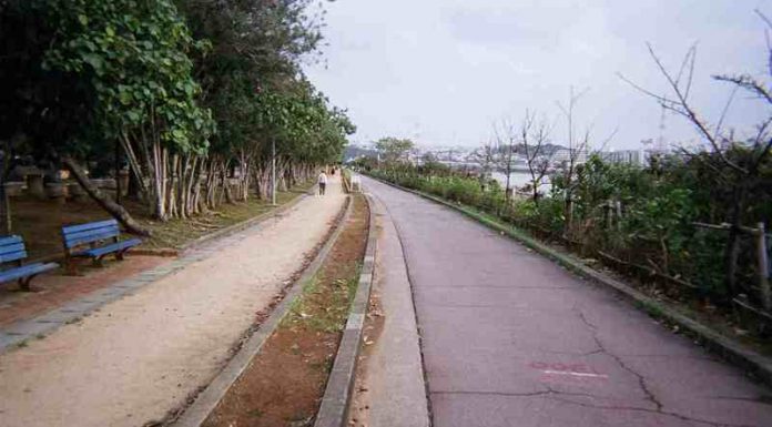 Running Trails on Okinawa