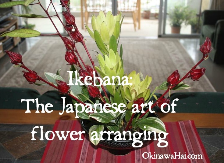 Japanese Nude Ikebana - Ikebana Classes â€“ Okinawa Hai