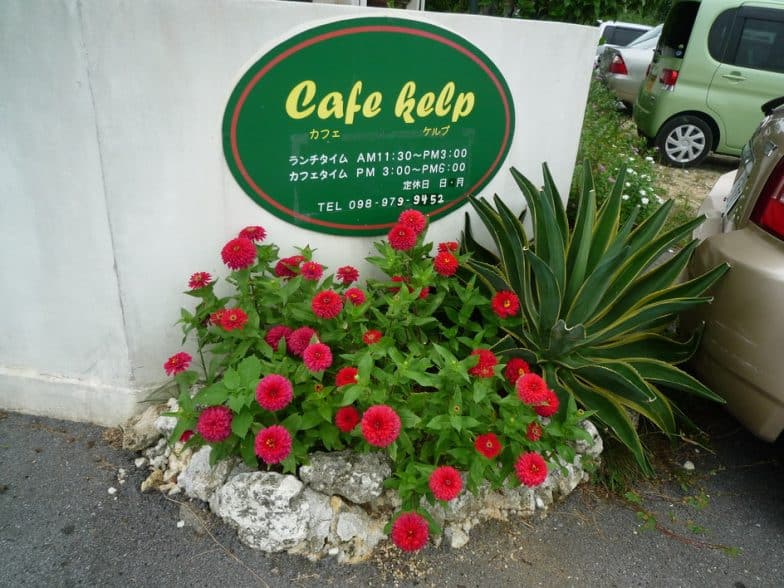 Cafe Kelp