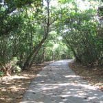 Comprehensive Park Trail