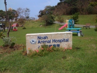 Noahs Sign 1