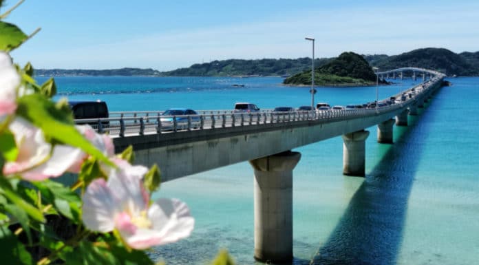 Okinawa Hai