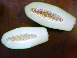 Green Papaya 2