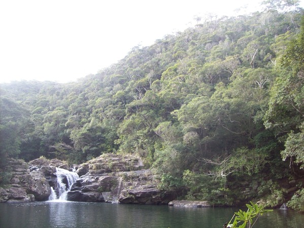 Tanaga View