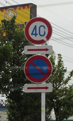Newlywed Road Signs