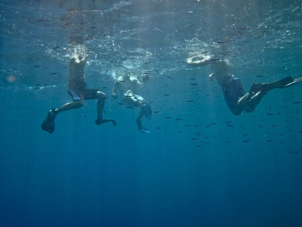 Snorkelers