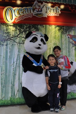 HK Ocean Park Panda
