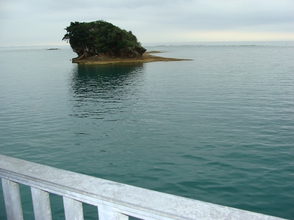 Seaside View