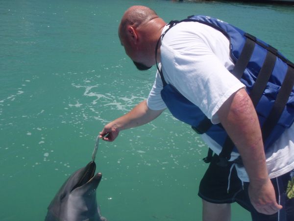 Motobu Dolphin Feed