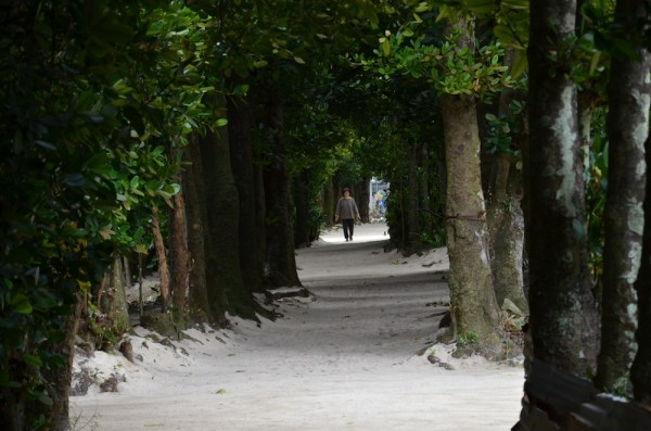 Bise Trail | Okinawa Hai