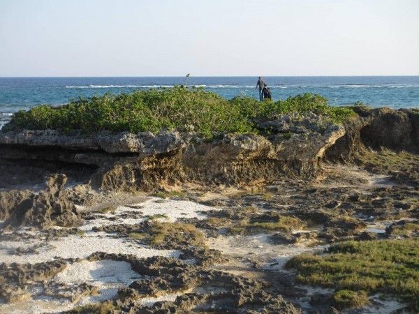 Ojima Island l Okinawa Hai