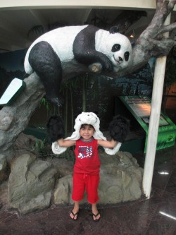 Taiwan Zoo Panda | Okinawa Hai