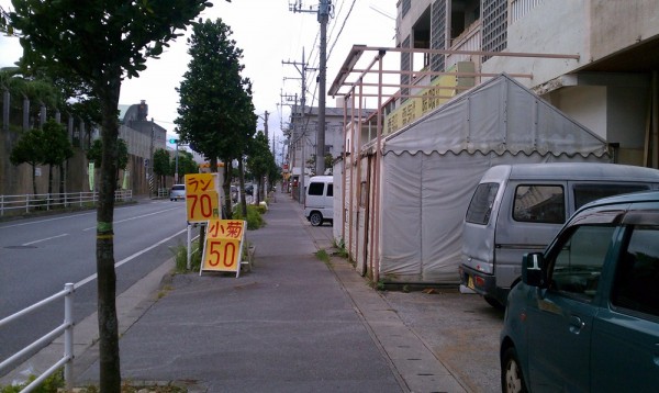 Fresh Flower Shopping l Okinawa Hai!