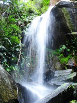 Todoroki Waterfall l Okinawa Hai!