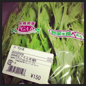 Okinawa Summer Salad l Okinawa Hai!