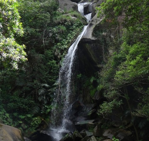 Todoroki Waterfall l Okinawa Hai!