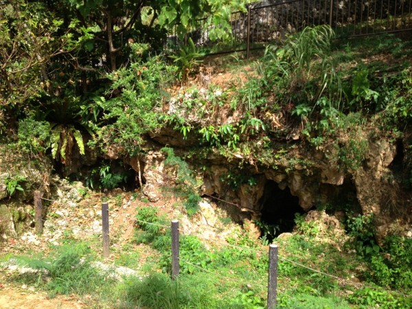 Oyama Mayagama l Okinawa Hai!