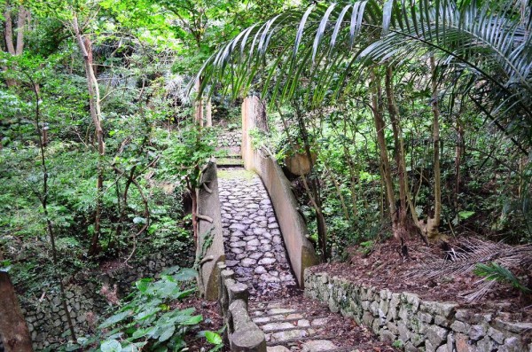 Tree Village l Okinawa Hai!