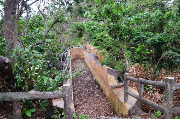 Tree Village l Okinawa Hai!