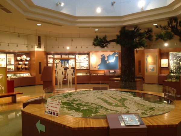 Ginowan City Museum l Okinawa Hai!