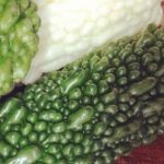 goya_insta_colors1