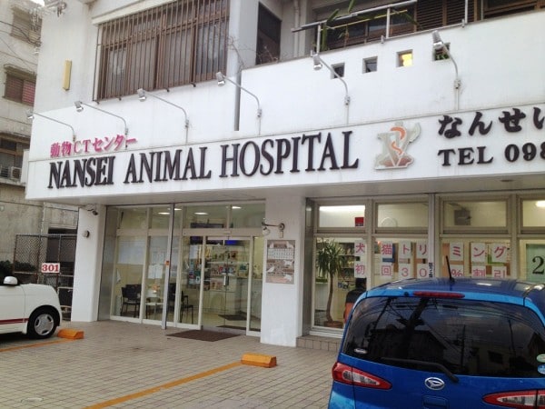 Nansei Animal Hospital l Okinawa Hai!