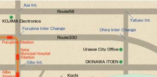 Infertility Treatments in Okinawa l Okinawa Hai!
