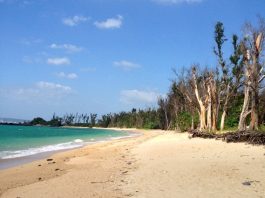 Nago Citizen Beach l Okinawa Hai!
