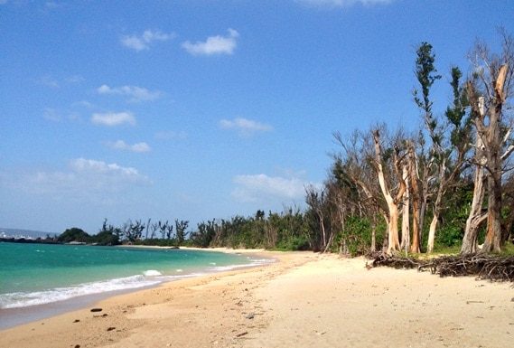 Nago Citizen Beach l Okinawa Hai!