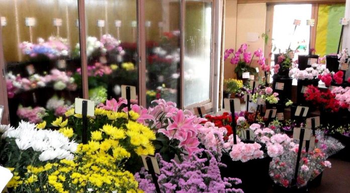 Meruhen Flower Shop l Okinawa Hai!