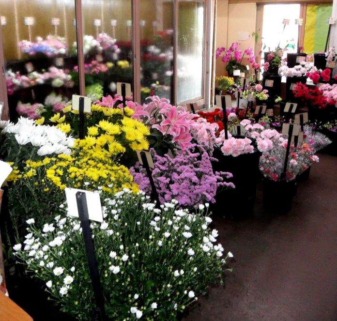 Meruhen Flower Shop l Okinawa Hai!