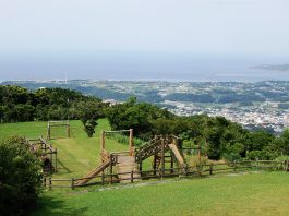 Otohadake Forest Park l Okinawa Hai!
