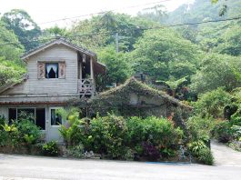 Yachimun Café l Okinawa Hai!